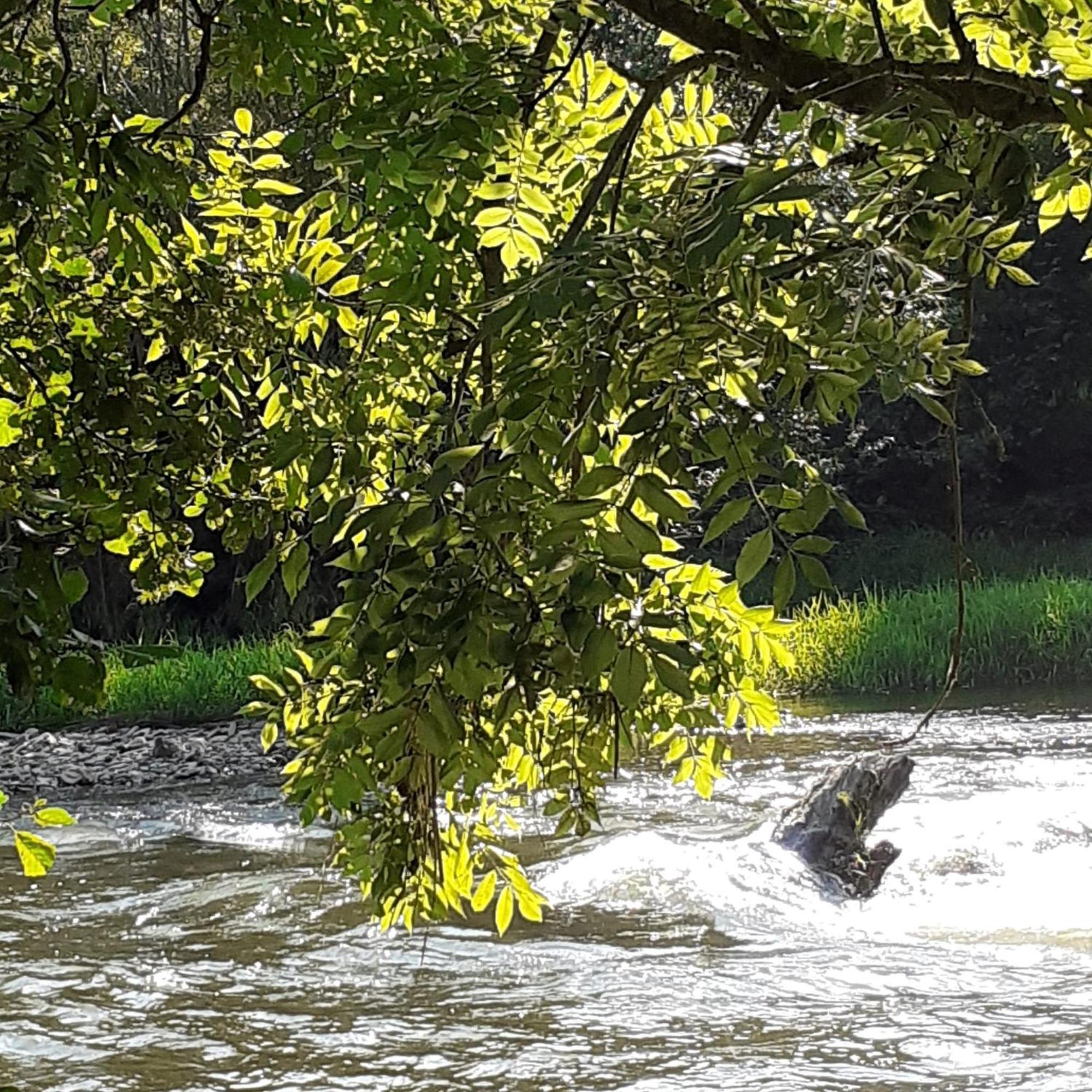 Stadt Land Fluss Plus Arnsberg Exterior photo